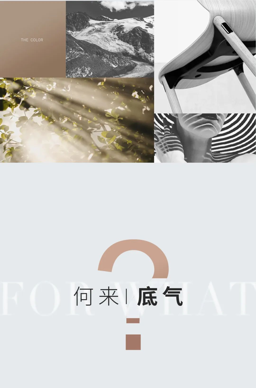 29°柔光 | 因為熱愛(ài) ， 所以堅持(圖4)